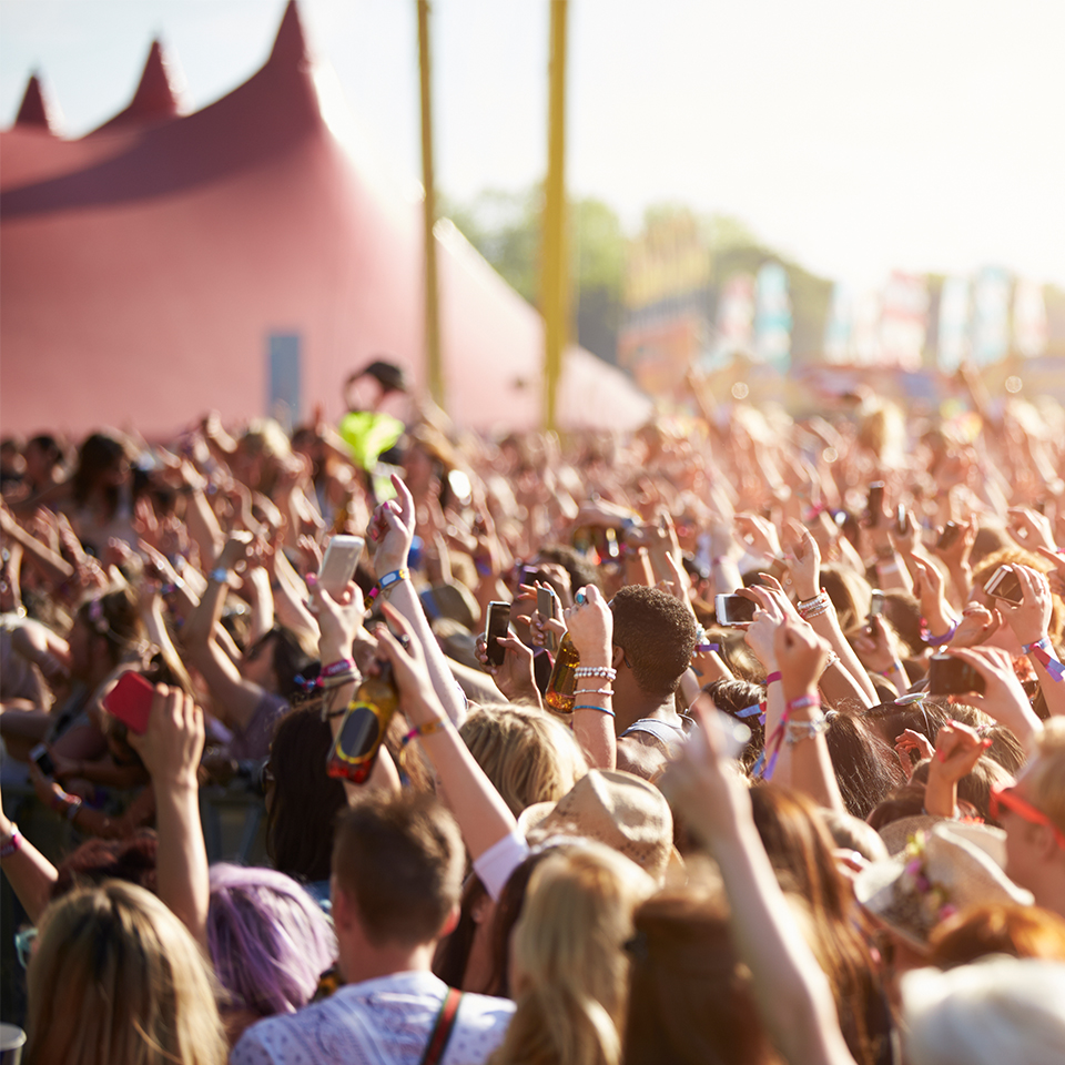 crowd of festival goers with their hands in the air