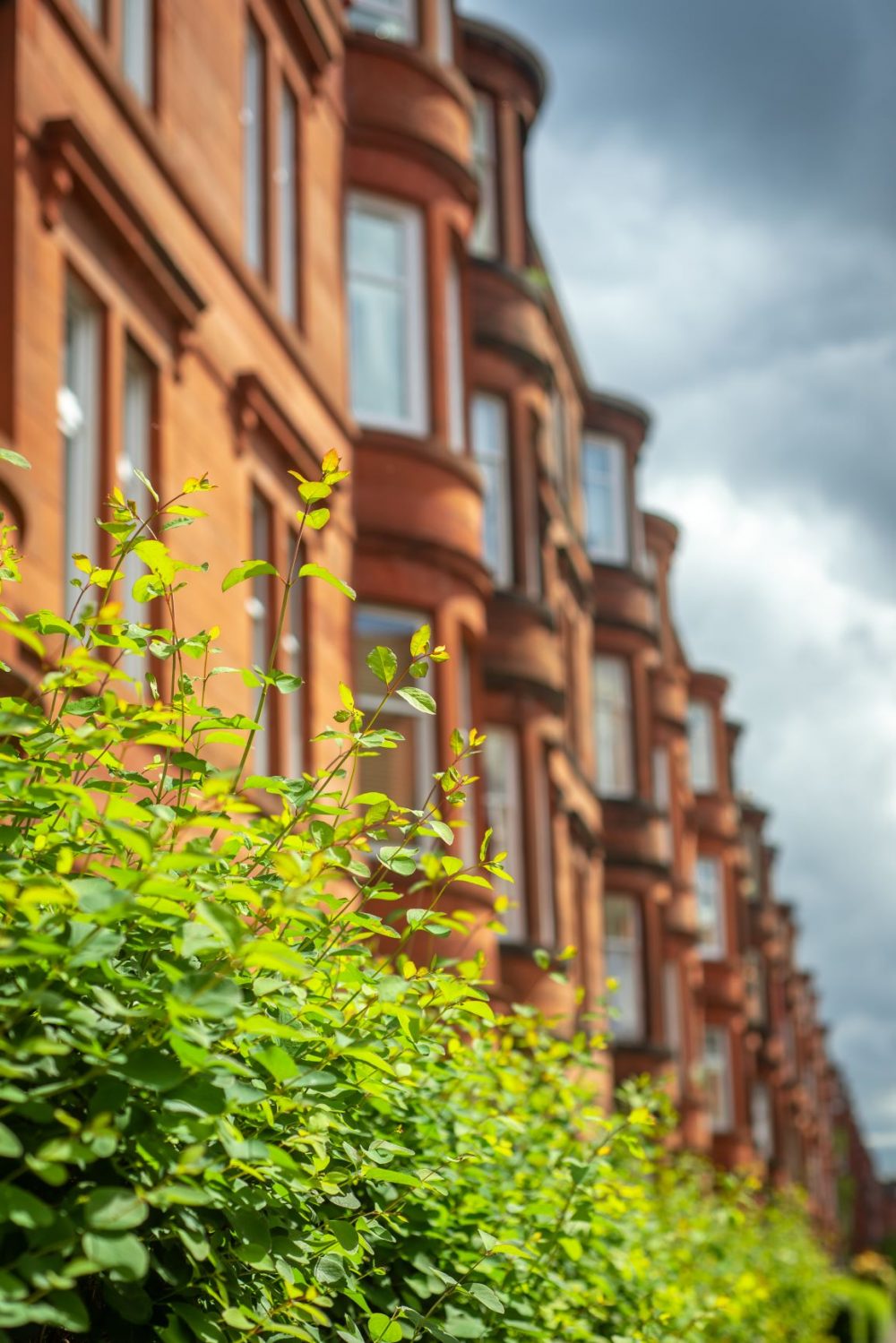 Row of houses with a green hedge in front